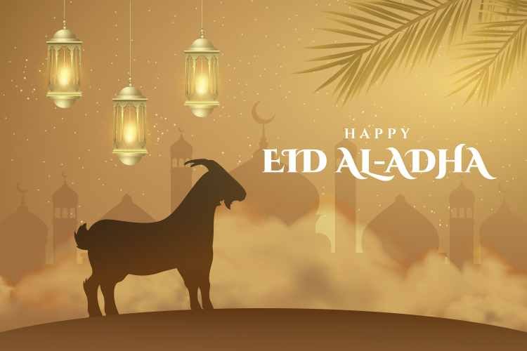 eid al adha sacrifice rules eid al adha sacrifice rules