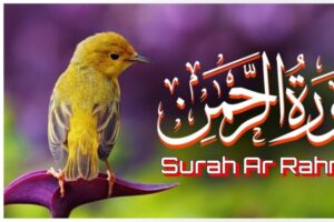 Which Surah is Known as Bride of Quran